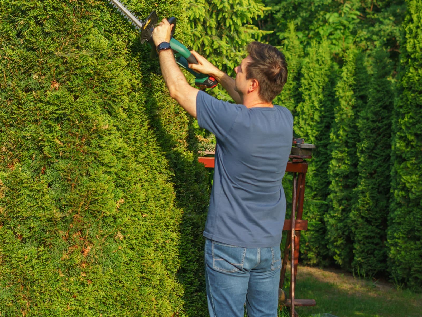 Gärtner pflegt in der Gartensaison die Grünanlage einer Wohnanlage